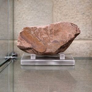 Natural Dendritic Jasper Stone Art - Brown Decorative Accent